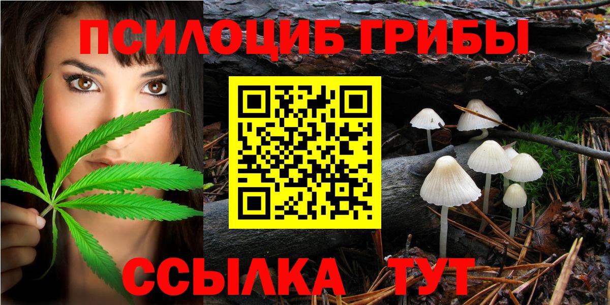 Тосно  Галлюциногенные грибы GOLDEN TEACHER  Вход с VPN 